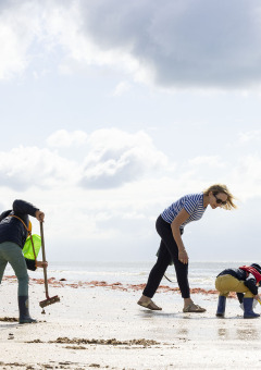 Familia buscando conchas en la playa de Flower Camping La Davière Plage, Pays de la Loire, Francia.
