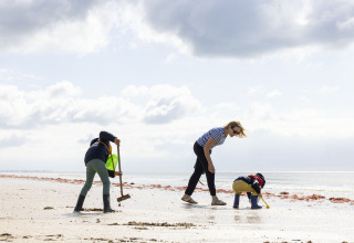 Famille cherchant des coquillages sur la plage à Flower Camping La Davière Plage, Pays de la Loire, France.