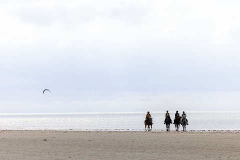 Vier personen te paard op het strand bij Flower Camping La Davière Plage, Pays de la Loire, Frankrijk.
