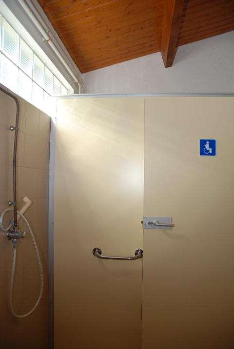 Ducha accesible con barra de apoyo y ducha de mano en Flower Camping La Davière Plage, Pays de la Loire.