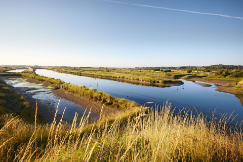 Paesaggio naturale vicino a Saint Jean de Monts in Pays de la Loire, Francia, con fiumi e prati verdi.