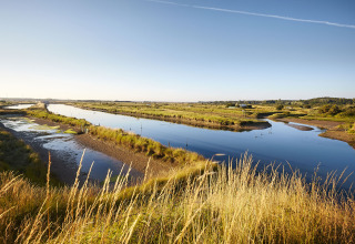 Paesaggio naturale vicino a Saint Jean de Monts in Pays de la Loire, Francia, con fiumi e prati verdi.