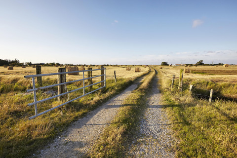 Chemin de gravier traversant des champs et des bottes de foin à Flower Camping La Davière Plage, Pays de la Loire.