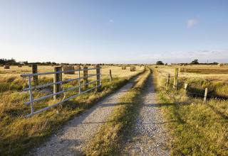 Chemin de gravier traversant des champs et des bottes de foin à Flower Camping La Davière Plage, Pays de la Loire.