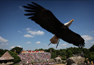 A majestic eagle soaring above a crowd on a sunny day at a holiday park in Pays de la Loire, France.