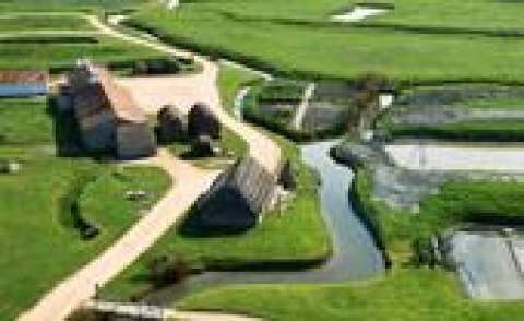Vue aérienne du Flower Camping La Davière Plage en Pays de la Loire, France, avec champs verts et cabanes.