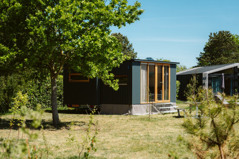 Moderne tiny house Klapkot C20 tussen bomen en groen met een heldere blauwe lucht op de achtergrond.