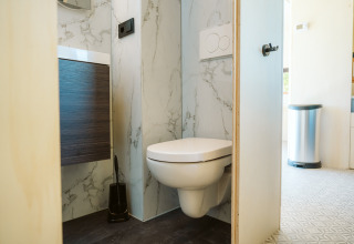 Bagno moderno con wc sospeso e decorazione in marmo nella tiny house Klapkot C20 a De Klepperstee, Paesi Bassi.