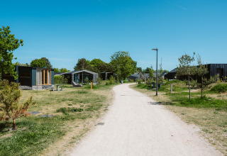 Pad door een groen vakantiepark met kleine moderne huisjes en blauwe lucht in De Klepperstee, Nederland.