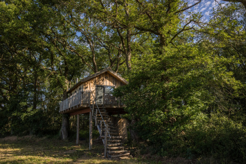 Baumhaus auf Stelzen inmitten von Bäumen im Ferienpark Domaine Bonneblond, Auvergne-Rhône-Alpes, Frankreich.