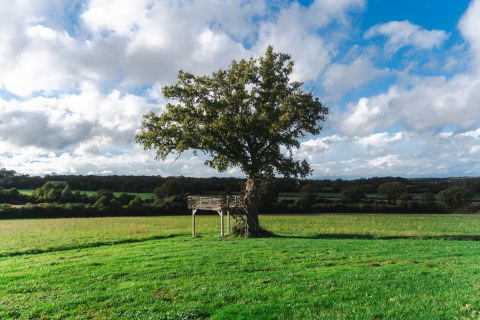 Een alleenstaande boom met een houten platform op een grasveld bij Domaine Bonneblond, Auvergne-Rhône-Alpes, Frankrijk.