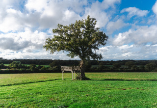Ein einzelner Baum mit einer Holzplattform steht auf einer grünen Wiese im Domaine Bonneblond, Auvergne-Rhône-Alpes, Frankreich.