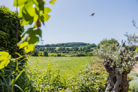 Blick auf die grüne Landschaft im Domaine Bonneblond Ferienpark in Auvergne-Rhône-Alpes, Frankreich an einem sonnigen Tag.