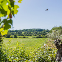 Uitzicht op het groene landschap bij Domaine Bonneblond vakantiepark in Auvergne-Rhône-Alpes, Frankrijk op een zonnige dag.