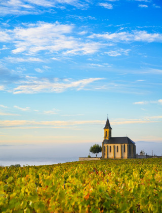 Iglesia pintoresca cerca de Saint-Désiré, Auvergne-Rhône-Alpes, Francia, rodeada de viñedos y cielo azul.