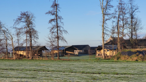 Uitzicht op Glamping Franse Peer in Overijssel, Nederland, met tenten, bomen en gras in de ochtendzon.