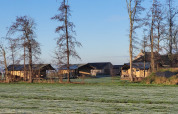Udsigt over Glamping Franse Peer i Overijssel, Holland, med telte, græsplæne og træer i morgensol.
