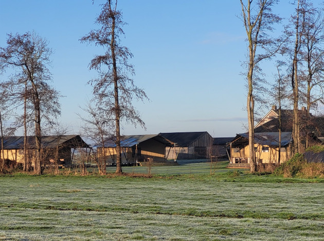 Uitzicht op Glamping Franse Peer in Overijssel, Nederland, met tenten, bomen en gras in de ochtendzon.