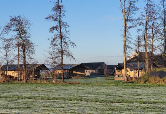 Udsigt over Glamping Franse Peer i Overijssel, Holland, med telte, græsplæne og træer i morgensol.