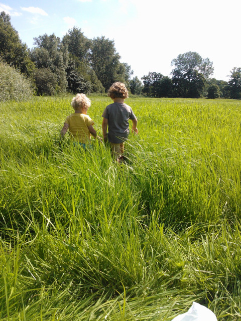 Deux jeunes enfants marchent dans une herbe verte et haute lors d'une journée ensoleillée au Glamping Franse Peer, Overijssel, Pays-Bas.