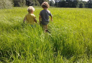 Due bambini piccoli camminano nell’erba alta e verde in una giornata soleggiata al Glamping Franse Peer in Overijssel, Paesi Bassi.