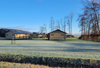 Tende glamping e prato verde presso il parco vacanze Glamping Franse Peer in Overijssel, Paesi Bassi.