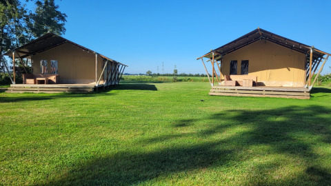 Zwei Safarizelte bei Glampingtent Joukje auf Glamping Franse Peer, Niederlande, auf einer grünen Wiese.