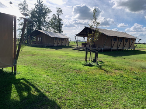 Glamping tenten op groene weide onder bewolkte lucht bij Glamping Franse Peer, Overijssel, Nederland.