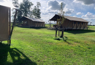 Tende da glamping su prato verde sotto cielo nuvoloso al Glamping Franse Peer, Overijssel, Paesi Bassi.