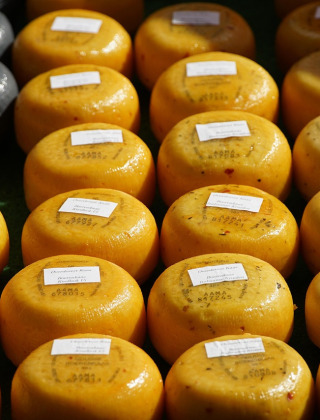 Rijen ronde kazen uitgestald op Glamping Franse Peer, vakantiepark in Overijssel, Nederland.