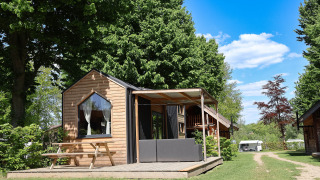 Foto van Tiny House, een knus houten huisje met terras en bankje, omgeven door groene bomen en natuur.