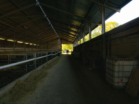 Un fienile buio con lati aperti a Feather Down De Brabantse Hei, un agriturismo nel Brabante Settentrionale, Paesi Bassi.