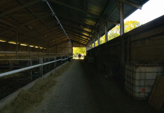 En mørk lade med åbne sider hos Feather Down De Brabantse Hei, en feriefarm i Nord-Brabant, Holland.