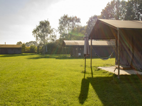 Campo soleado con tiendas de glamping en Feather Down De Brabantse Hei, Brabante Septentrional, Países Bajos.