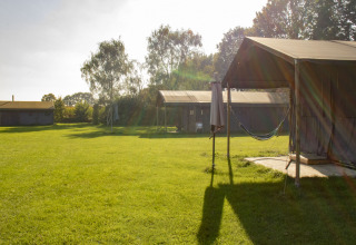 Campo soleggiato con tende glamping al Feather Down De Brabantse Hei, parco vacanze in Brabante Settentrionale, Paesi Bassi.