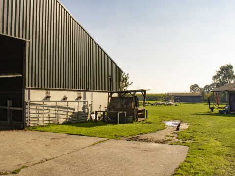 Vakantiepark Feather Down De Brabantse Hei in Noord-Brabant, Nederland, met schuur en grasveld.