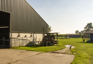 Vakantiepark Feather Down De Brabantse Hei in Noord-Brabant, Nederland, met schuur en grasveld.