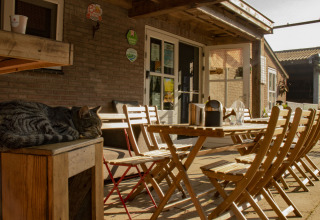 Udendørs terrasse ved Feather Down De Brabantse Hei med træmøbler og en kat sovende på en bænk i solskin.