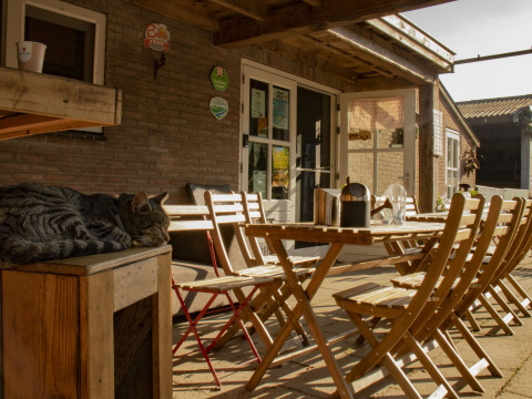Terrazza esterna a Feather Down De Brabantse Hei con mobili in legno e un gatto che dorme su una panca al sole.