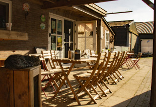 Buitenruimte met houten tafel, stoelen en slapende kat bij Feather Down De Brabantse Hei in Nederland.