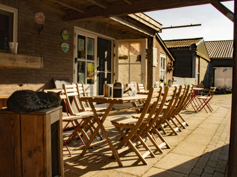Buiten zitgedeelte met houten tafels, stoelen en slapende kat bij Feather Down De Brabantse Hei, Nederland.