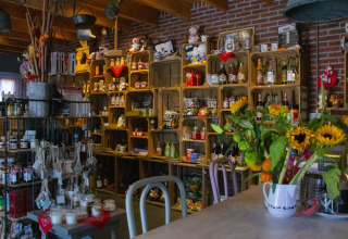 Tienda rústica con productos locales, estanterías de madera y girasoles en parque vacacional en Países Bajos.