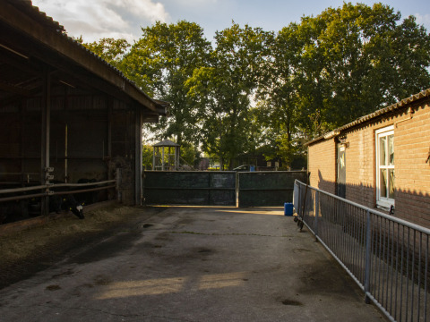 Cour de ferme à Feather Down De Brabantse Hei, un parc de vacances dans le Brabant-Septentrional, Pays-Bas.