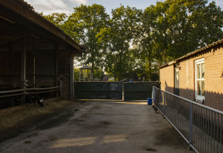 Hofansicht bei Sonnenuntergang in Feather Down De Brabantse Hei, Ferienpark in Nordbrabant, Niederlande.