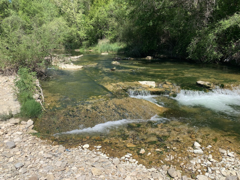 Ruscello poco profondo con acqua limpida e rocce circondato da vegetazione al Flower Camping La Rivière in Provenza.