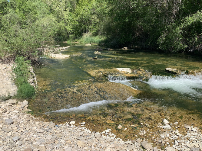Ondiep riviertje met helder water en stenen, omgeven door groen bij Flower Camping La Rivière in de Provence.