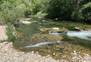 Klarer Bach mit Steinen im flachen Wasser, umgeben von Bäumen, bei Flower Camping La Rivière in Provence.