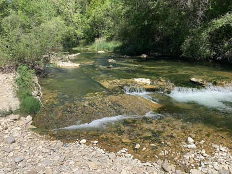 En stille flod med sten og grønt løv omkring, set i Flower Camping La Rivière, Provence-Alpes-Côte d’Azur.