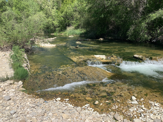 Ein ruhiger Fluss mit Steinen und üppigem Grün im Flower Camping La Rivière, Provence-Alpes-Côte d’Azur, Frankreich.