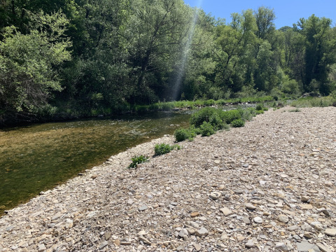 Rivier met kiezelstrand en groene bomen bij Flower Camping La Rivière in Provence-Alpes-Côte d’Azur, Frankrijk.